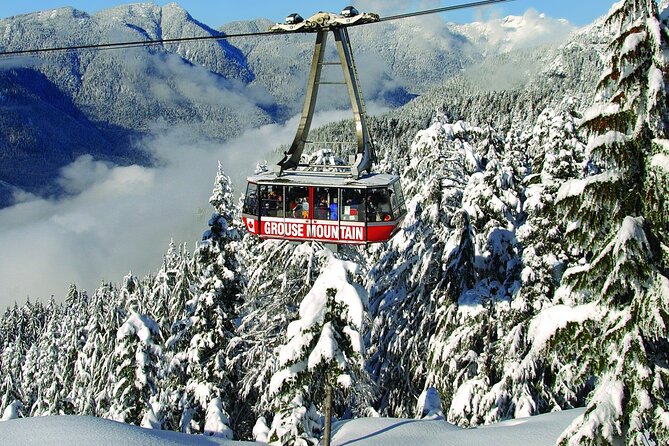 Grouse Mountain Admission Ticket - Why Grouse Mountain works as a Vancouver side trip