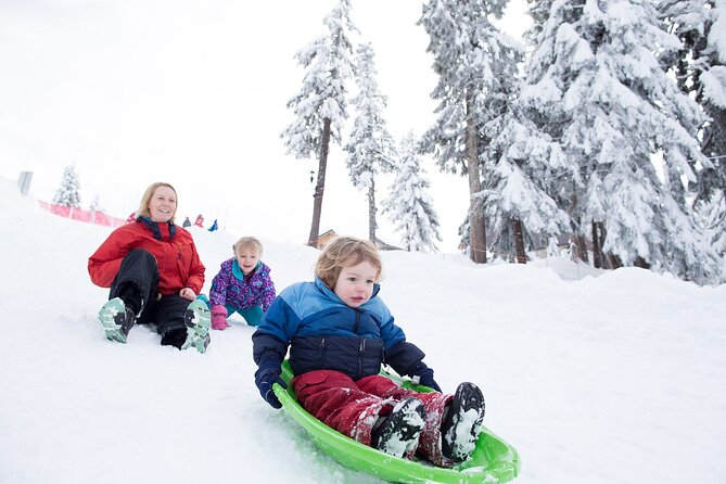 Grouse Mountain Admission Ticket - Winter brings snow, skating, and the Light Walk
