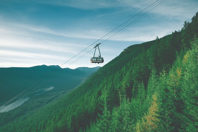 Grouse Mountain Admission Ticket - The Peak Chalet, films, food, and views