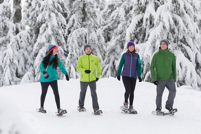 Grouse Mountain Admission Ticket - Is the $66.24 ticket good value?
