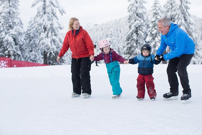 Grouse Mountain Admission Ticket - Riding the Skyride to the Peak Chalet