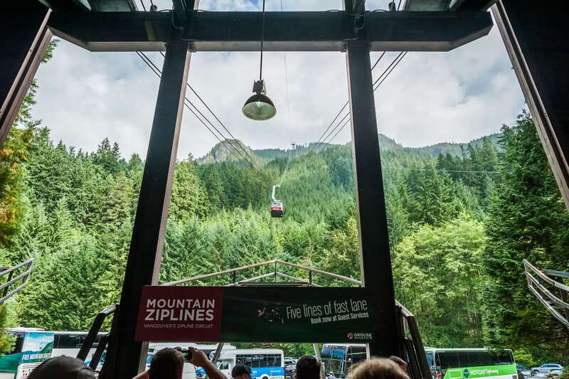Grouse Mountain, Capilano Bridge & Fish Hatchery Tour - At a glance: what this North Shore tour delivers