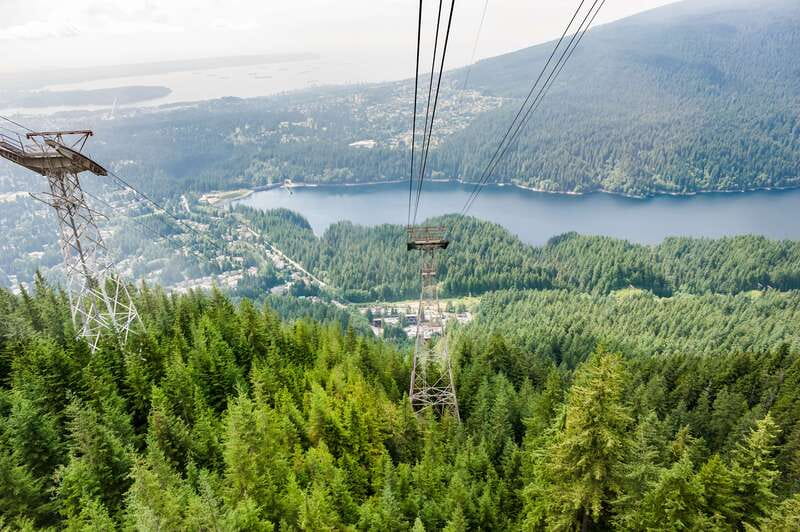 Grouse Mountain, Capilano Bridge & Fish Hatchery Tour - Capilano Suspension Bridge and the old-growth forest