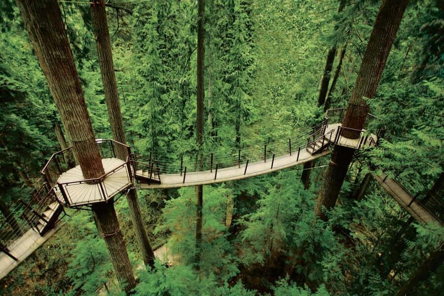Grouse Mountain, Capilano Bridge & Fish Hatchery Tour - Capilano River Hatchery: useful, short and seasonal
