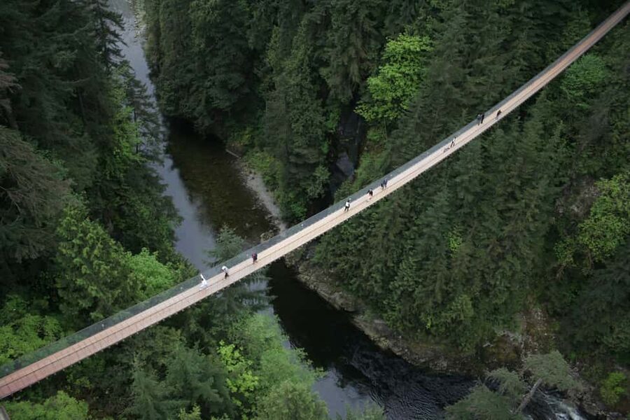 Grouse Mountain, Capilano Bridge & Fish Hatchery Tour - Is $192 a fair price?