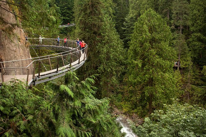 Grouse Mountain & Capilano Bridge Tour with Fish Hatchery - Grouse Mountain Skyride: big views, weather permitting