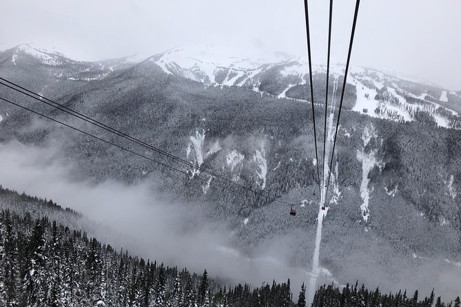 Guided Sightseeing Tour in Vancouver, Shannon Falls and Whistler - Shannon Falls is the clearest must-see stop