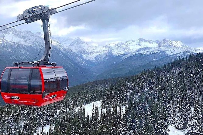 Guided Sightseeing Tour in Vancouver, Shannon Falls and Whistler - Eagle viewing depends on the season