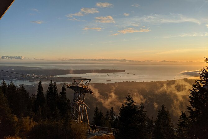 Guided Vancouver Hiking Highlights Day Tour with Gondola Download - The Skyride down to Vancouver’s North Shore