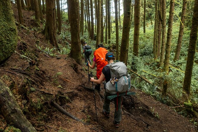 Guided Vancouver Hiking Highlights Day Tour with Gondola Download - Is $134.13 a fair price?