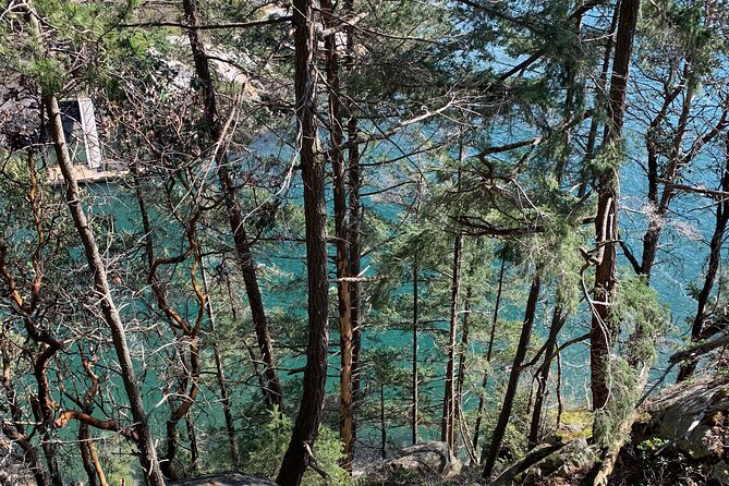 Half-day Hike and Bike Tour in Vancouver - Walking the coastal forest at Lighthouse Park