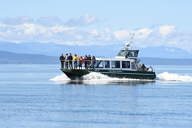 Intimate West Coast Whale Watching - Partly-Sheltered - Why this whale trip can be so exciting