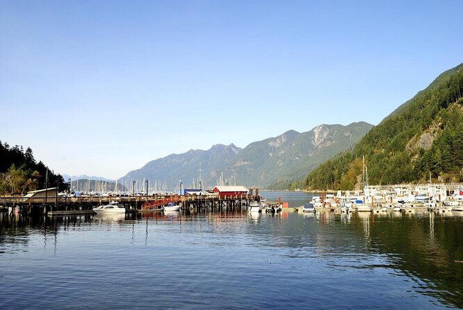 Lighthouse Park Hiking / Horseshoe Bay Discovery Tour - A 30-minute pause in Horseshoe Bay