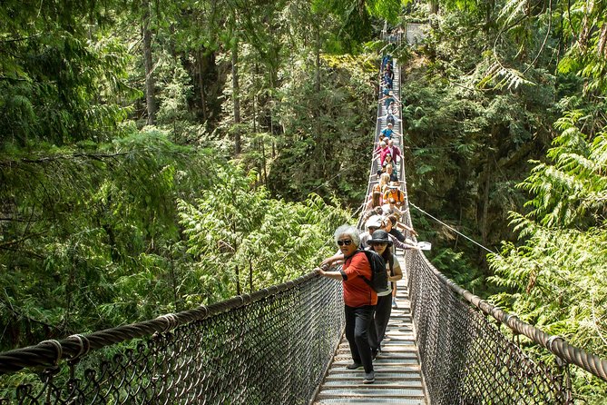 Mesmerizing Nature Walk in Lynn Canyon Park - Walking through North Shore rainforest