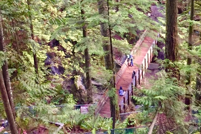 Mesmerizing Nature Walk in Lynn Canyon Park - Is $123.23 a fair price?