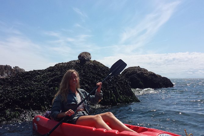 Morning Kayak & Seal Cruise in Vancouver - Key points to know before you book