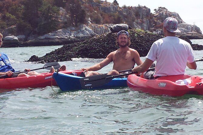 Morning Kayak & Seal Cruise in Vancouver - From Horseshoe Bay to open water