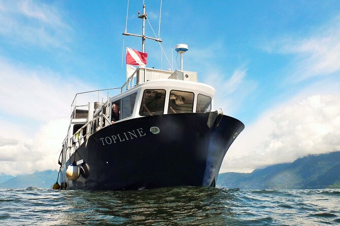 Morning Kayak & Seal Cruise in Vancouver - Who will enjoy this outing most