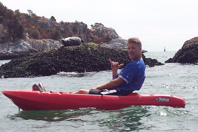 Morning Kayak & Seal Cruise in Vancouver - Choosing between a kayak and a paddle board