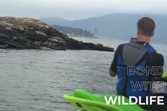 Ocean is Yours Seadoo Experience from Vancouver - Bowen Island, Anvil Island, and open-water riding
