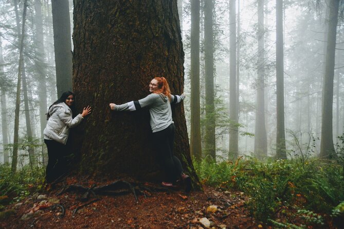 Photography, Gondola & Snowshoeing - Shannon Falls brings a shorter nature stop