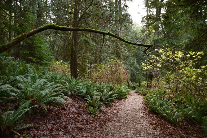 Photography, Hiking & Ferry to Bowen Island - Complimentary photos and the value of the price