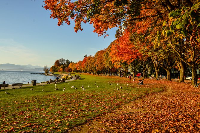 Photography & Hiking in Nature - English Bay at the right light