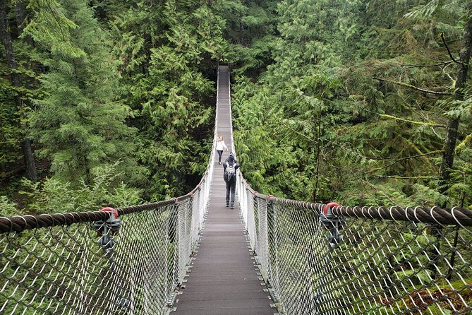 Photography in Rainforest & Suspension Bridge - Why Lynn Canyon works so well for photography