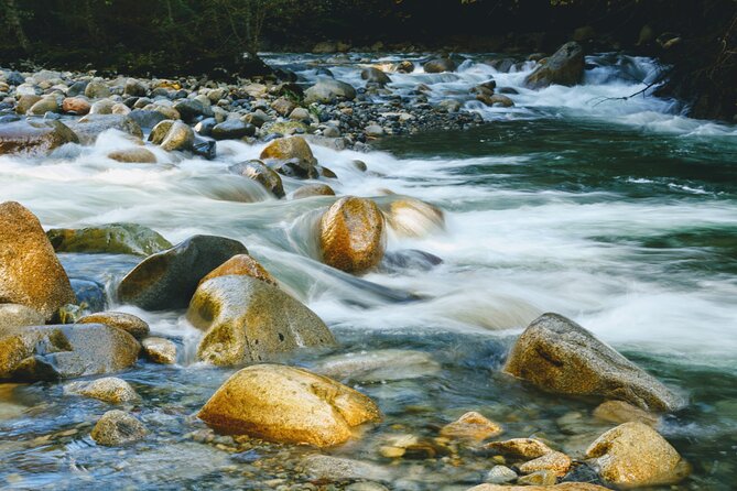 Photography in Rainforest & Suspension Bridge - Waterfalls, pools, and long exposures