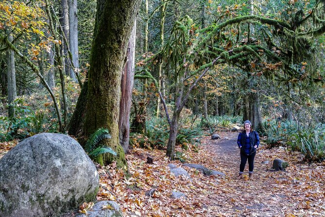 Photography in Rainforest & Suspension Bridge - Lessons that work with a smartphone