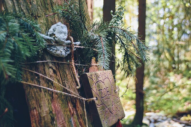 Photography & Intermediate Hiking - The value of the $86.03 price