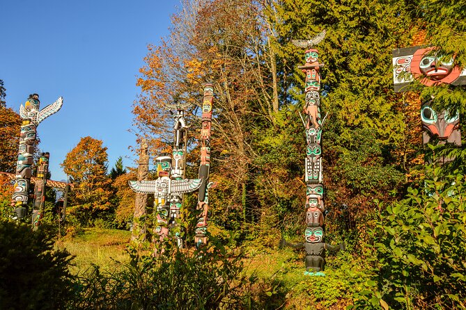 Photography & Walk in Stanley Park - Stanley Park forest: flexible walking and changing subjects
