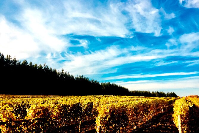 Premium Fraser Valley and White Rock Private Wine Tour - Key points to know before booking