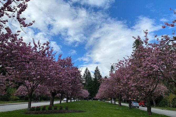 Private Guided Grand City Tour in Vancouver with your luggage - West Vancouver brings waterfront parks and expensive homes