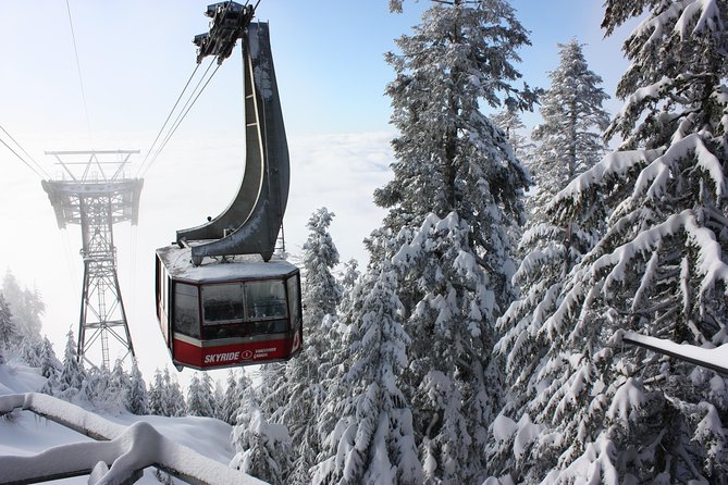 Private Tour: Capilano Suspension Bridge and Grouse Mountain - Why this private Vancouver tour works
