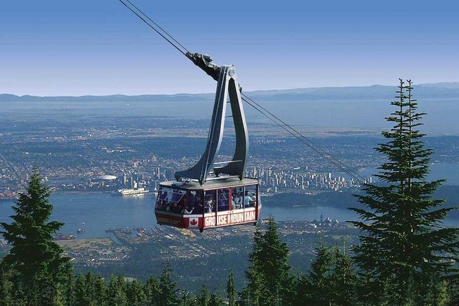 Private Tour: Capilano Suspension Bridge and Grouse Mountain - Practical tips for a smoother day