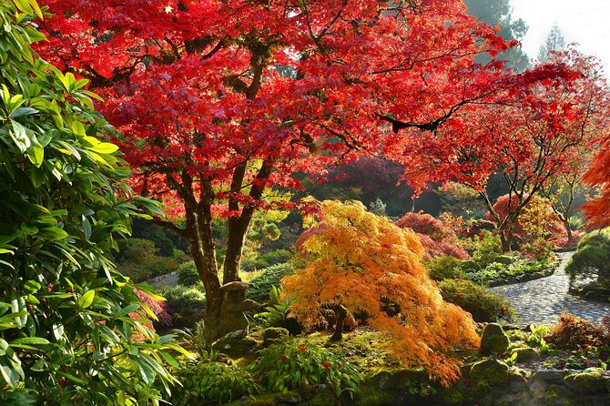 Private Tour: Gardens of Vancouver - What the Private Vehicle Adds