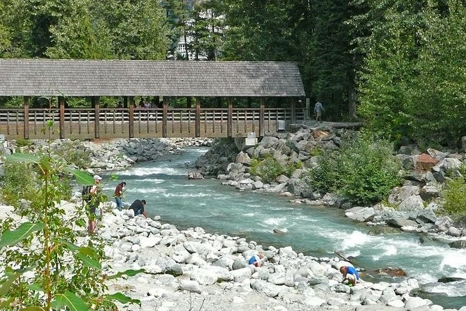 Private Whistler Day Trip from Vancouver - Paid Mountain Rides Need Advance Planning
