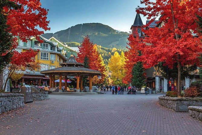 Private Whistler Day Trip from Vancouver - Shannon Falls Gives You a Strong First Stop