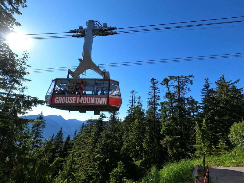 PrivateTour Capilano Br+Granville Islan+Hatchery+Lynn Canyon - A full day linking Vancouver’s forests and food