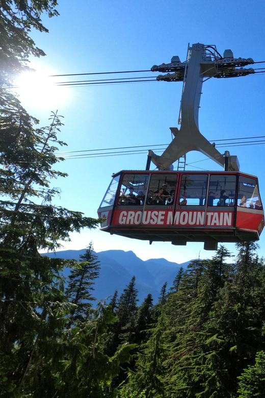 PrivateTour Capilano Br+Granville Islan+Hatchery+Lynn Canyon - Capilano rainforest and Cleveland Dam views