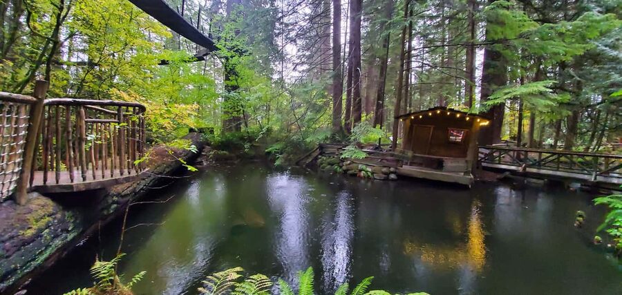 PrivateTour Capilano Br+Granville Islan+Hatchery+Lynn Canyon - Private group transport and the real pace of the day