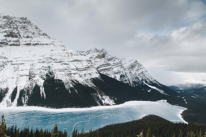 Rockies Winter Premium Tour - Day 5: Wildlife and the return to Vancouver