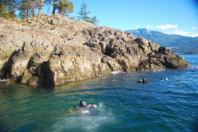 Scuba Dive Boat Charter in Vancouver (Certified Divers Only!) - Two sessions, two different kinds of scenery