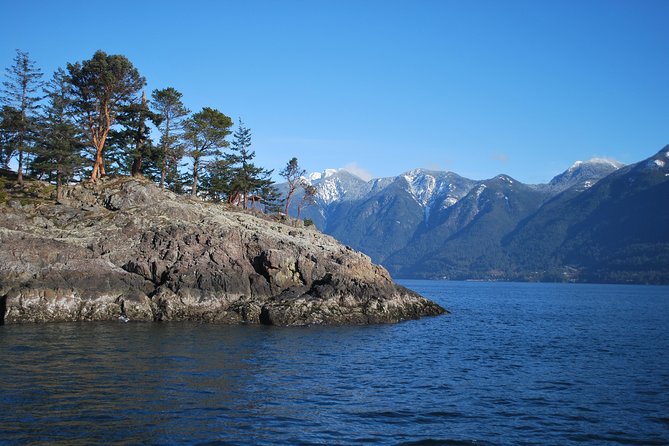 Scuba Dive Boat Charter in Vancouver (Certified Divers Only!) - Health rules and timing after the trip