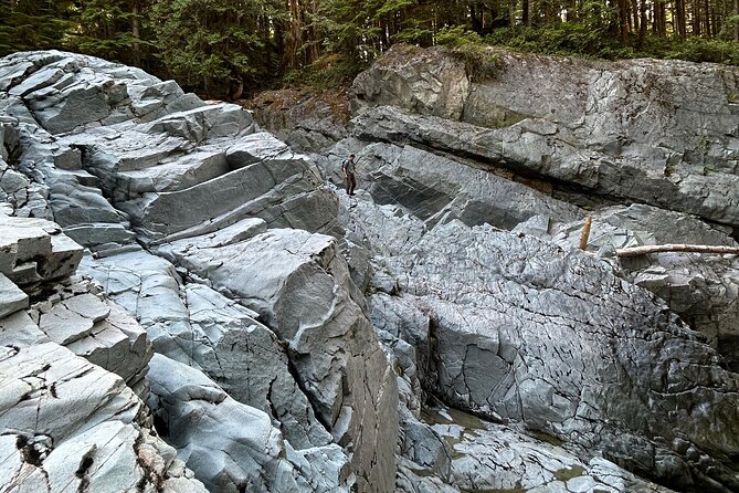 Shannon fall, Quercus Point and Squamish city Private tour - Squamish: two hours to slow down