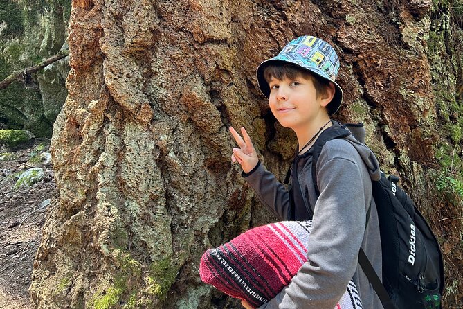 Shannon fall, Quercus Point and Squamish city Private tour - What the price means for different group sizes