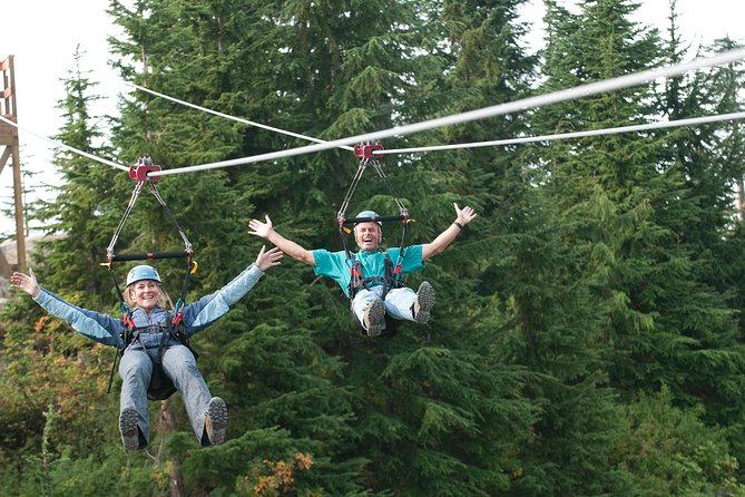 Small Group Tour: Capilano Suspension Bridge and Grouse Mountain from Vancouver - Small-group service and the human touch