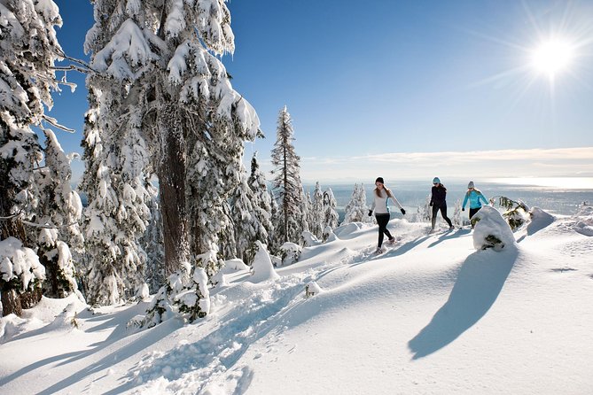 Small Group Tour: Capilano Suspension Bridge and Grouse Mountain from Vancouver - Grouse Mountain: the biggest choice of the day