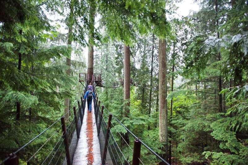 Small group tour of Capilano Bridge & Grouse Mountain - Two North Shore icons in five hours